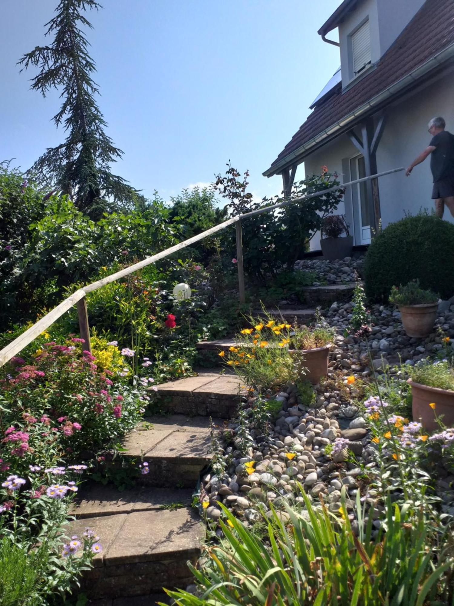Chez Le Vigneron Apartment Westhalten ภายนอก รูปภาพ