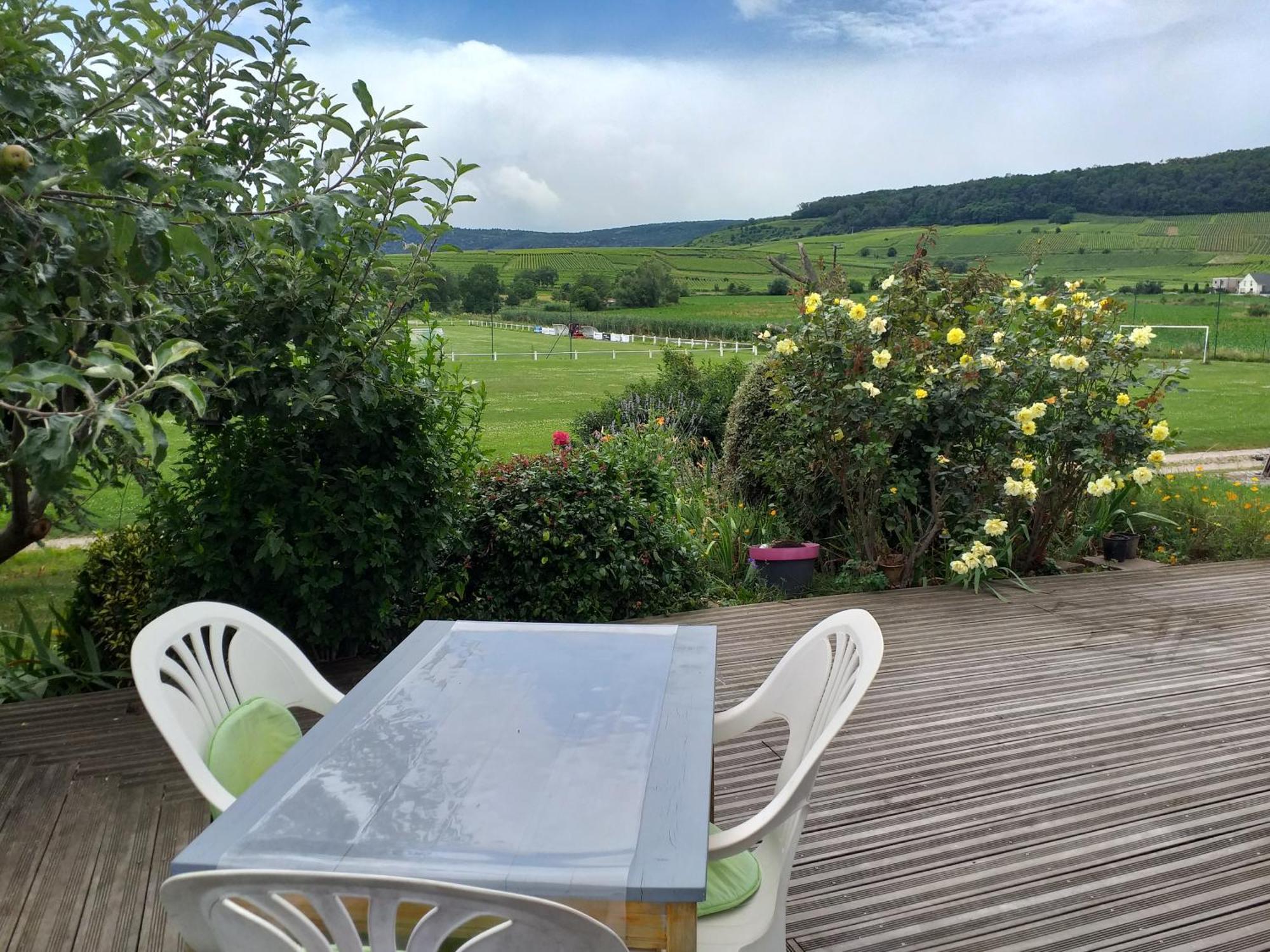 Chez Le Vigneron Apartment Westhalten ภายนอก รูปภาพ